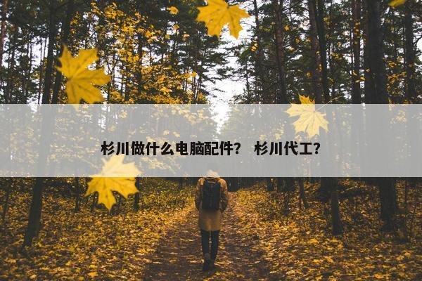 杉川做什么电脑配件？ 杉川代工？