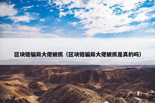 区块链骗局大佬被抓（区块链骗局大佬被抓是真的吗）