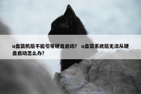u盘装机后不能引导硬盘启动？ u盘装系统后无法从硬盘启动怎么办？