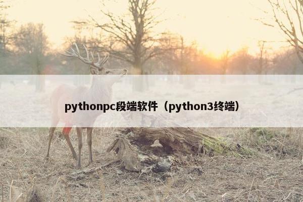 pythonpc段端软件（python3终端）