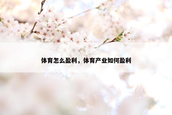 体育怎么盈利，体育产业如何盈利