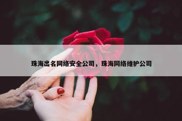 珠海出名网络安全公司，珠海网络维护公司