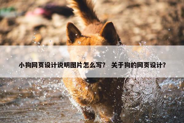 小狗网页设计说明图片怎么写？ 关于狗的网页设计？