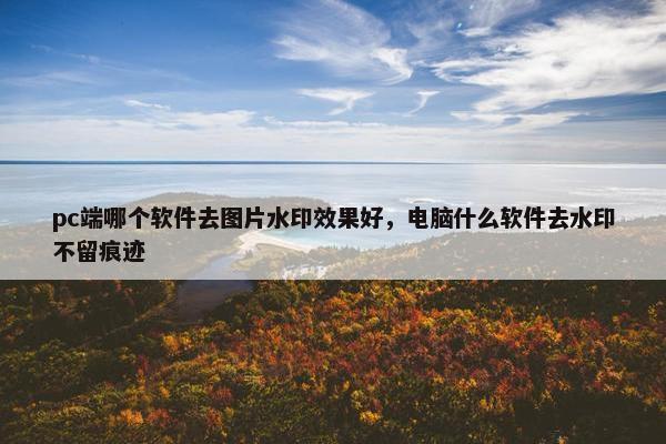pc端哪个软件去图片水印效果好，电脑什么软件去水印不留痕迹