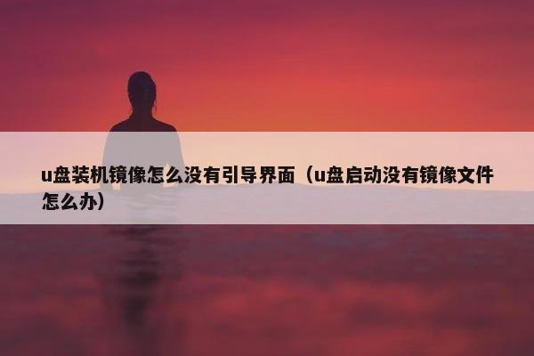 u盘装机镜像怎么没有引导界面（u盘启动没有镜像文件怎么办）