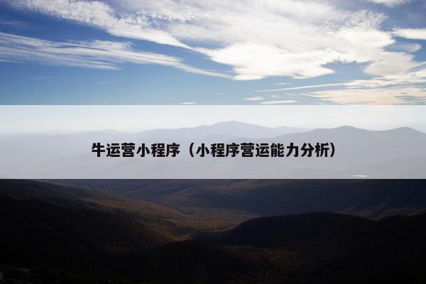 牛运营小程序（小程序营运能力分析）