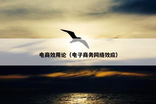 电商效用论（电子商务网络效应）