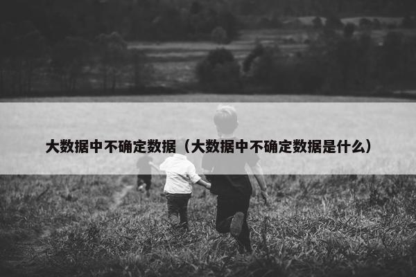 大数据中不确定数据（大数据中不确定数据是什么）