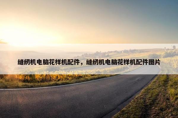 缝纫机电脑花样机配件，缝纫机电脑花样机配件图片