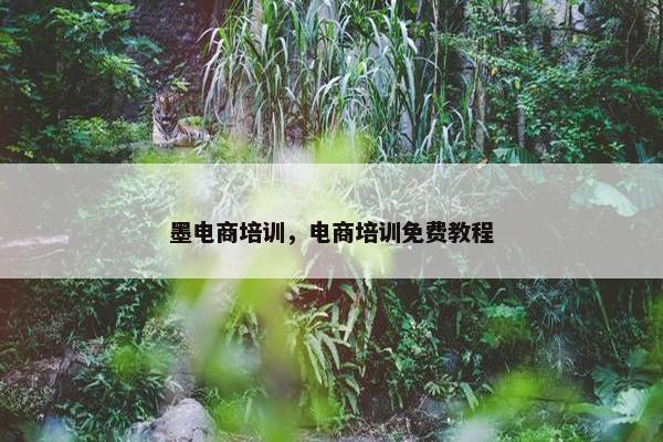 墨电商培训，电商培训免费教程