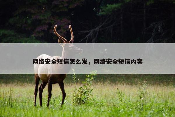 网络安全短信怎么发，网络安全短信内容