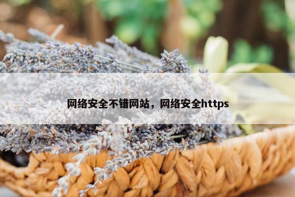 网络安全不错网站，网络安全https
