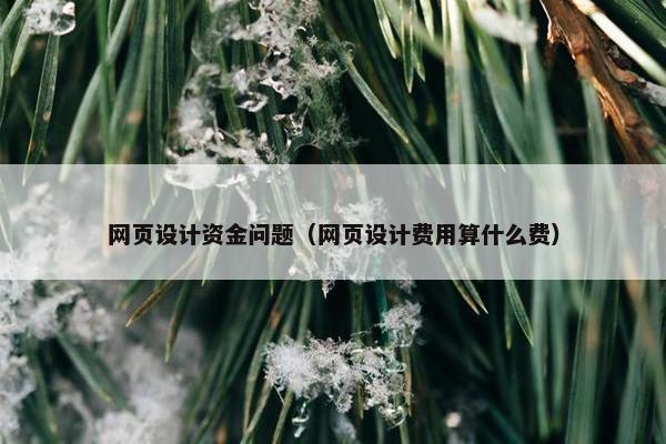 网页设计资金问题（网页设计费用算什么费）