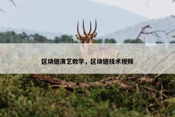 区块链演艺教学，区块链技术视频