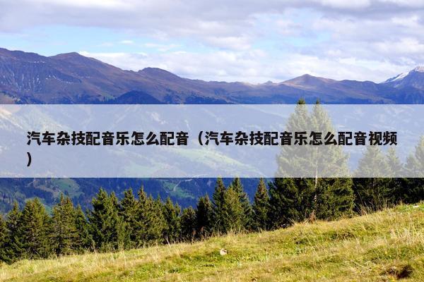 汽车杂技配音乐怎么配音（汽车杂技配音乐怎么配音视频）