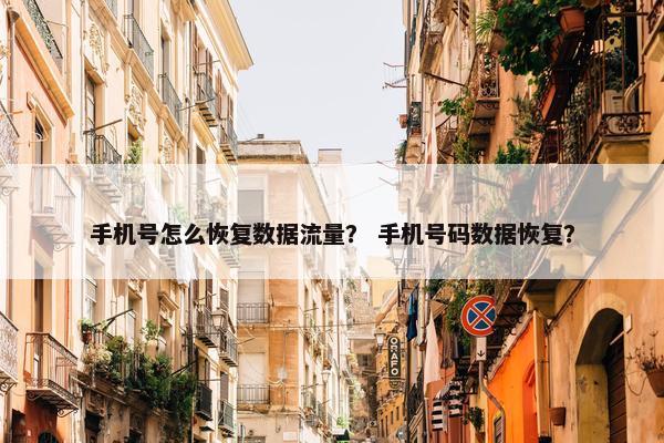 手机号怎么恢复数据流量？ 手机号码数据恢复？