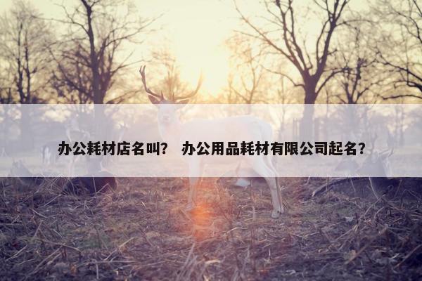 办公耗材店名叫？ 办公用品耗材有限公司起名？