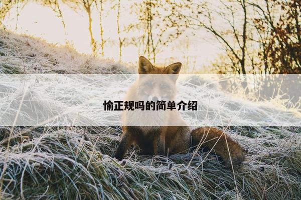 愉正规吗的简单介绍