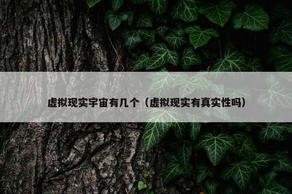 虚拟现实宇宙有几个（虚拟现实有真实性吗）