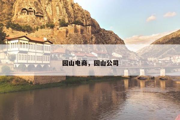 园山电商，园山公司