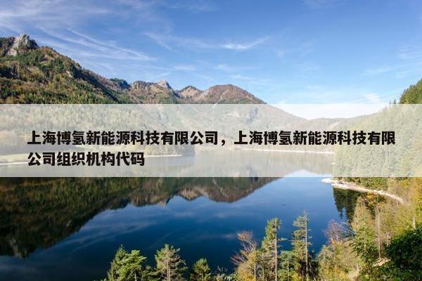 上海博氢新能源科技有限公司，上海博氢新能源科技有限公司组织机构代码