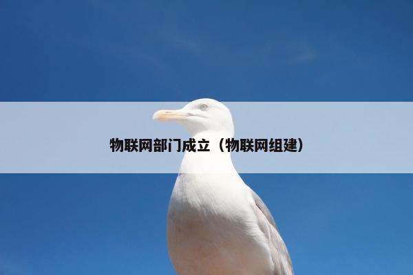 物联网部门成立（物联网组建）