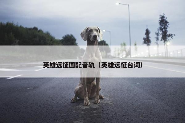 英雄远征国配音轨（英雄远征台词）