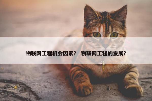 物联网工程机会因素？ 物联网工程的发展？