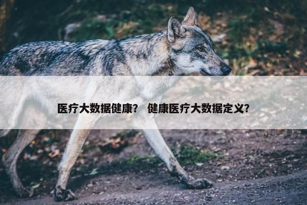 医疗大数据健康？ 健康医疗大数据定义？