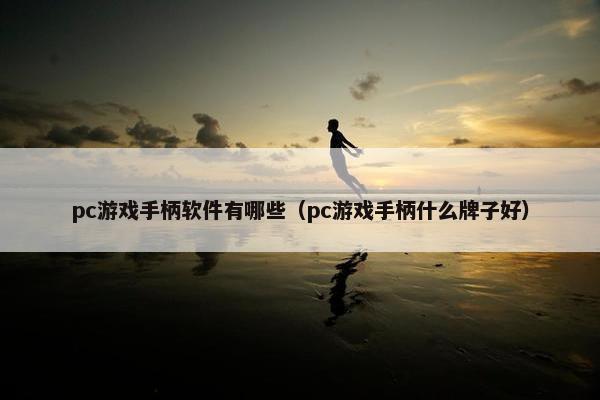 pc游戏手柄软件有哪些（pc游戏手柄什么牌子好）