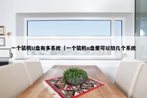 一个装机U盘有多系统（一个装机u盘里可以放几个系统）