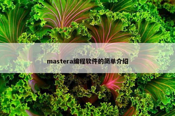 mastera编程软件的简单介绍