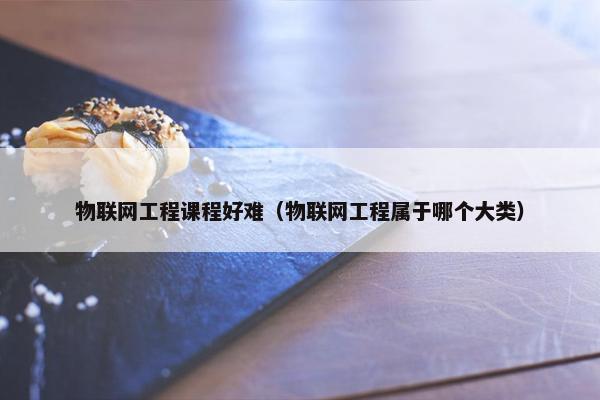 物联网工程课程好难（物联网工程属于哪个大类）