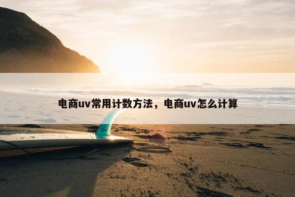 电商uv常用计数方法，电商uv怎么计算