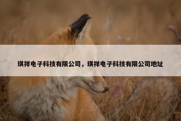 琪祥电子科技有限公司，琪祥电子科技有限公司地址