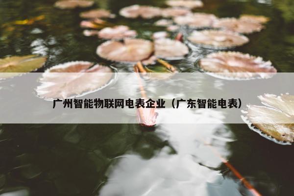 广州智能物联网电表企业（广东智能电表）