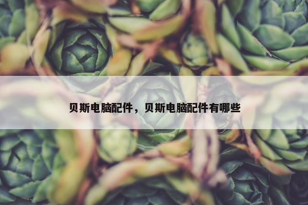 贝斯电脑配件，贝斯电脑配件有哪些