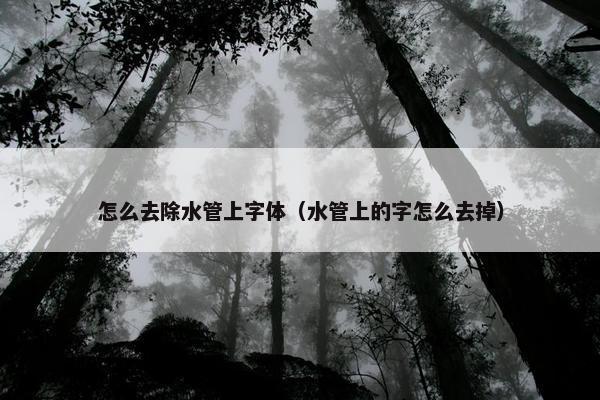 怎么去除水管上字体（水管上的字怎么去掉）
