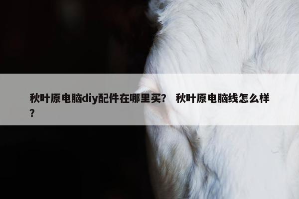秋叶原电脑diy配件在哪里买？ 秋叶原电脑线怎么样？