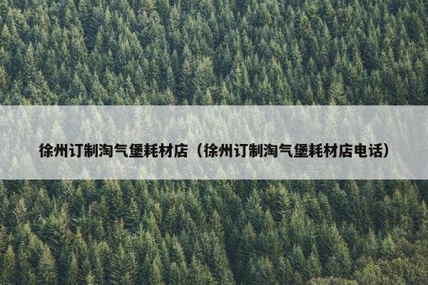 徐州订制淘气堡耗材店（徐州订制淘气堡耗材店电话）