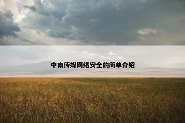 中南传媒网络安全的简单介绍