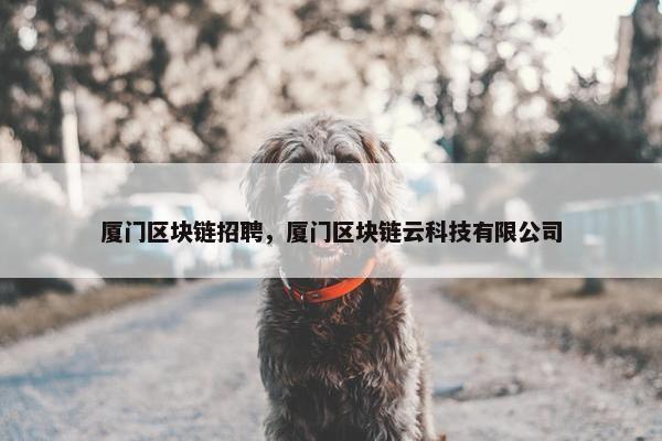 厦门区块链招聘，厦门区块链云科技有限公司