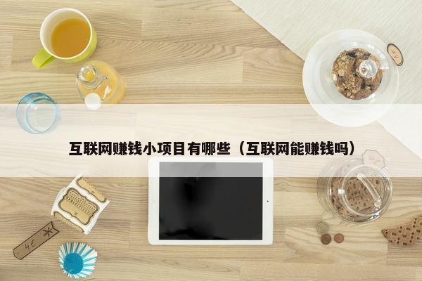 互联网赚钱小项目有哪些（互联网能赚钱吗）
