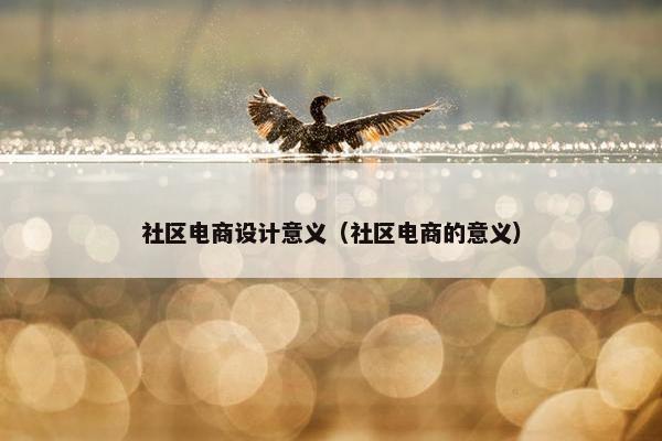 社区电商设计意义（社区电商的意义）