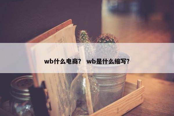 wb什么电商？ wb是什么缩写？