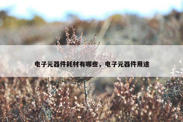 电子元器件耗材有哪些，电子元器件用途