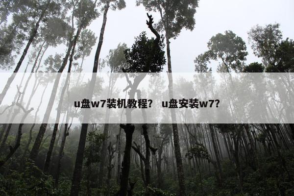 u盘w7装机教程？ u盘安装w7？