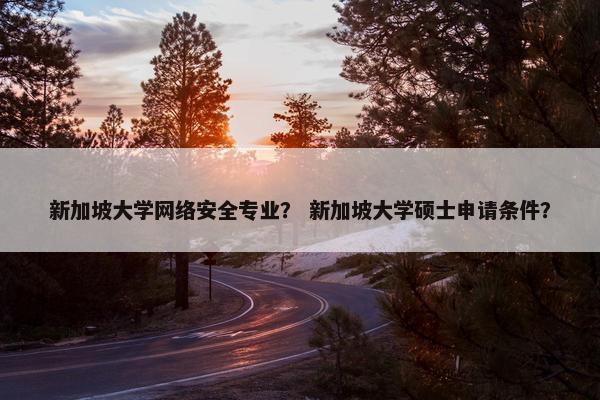 新加坡大学网络安全专业？ 新加坡大学硕士申请条件？