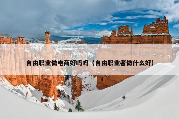 自由职业做电商好吗吗（自由职业者做什么好）