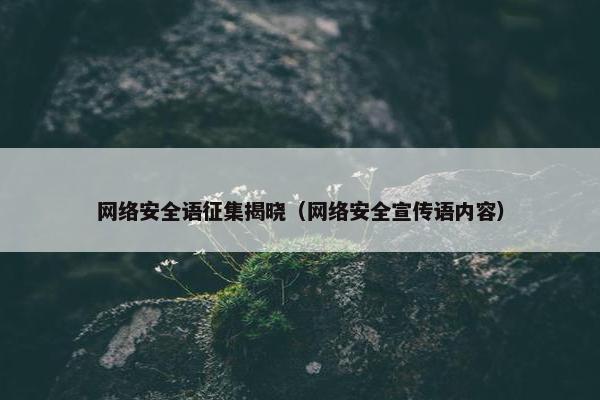 网络安全语征集揭晓（网络安全宣传语内容）